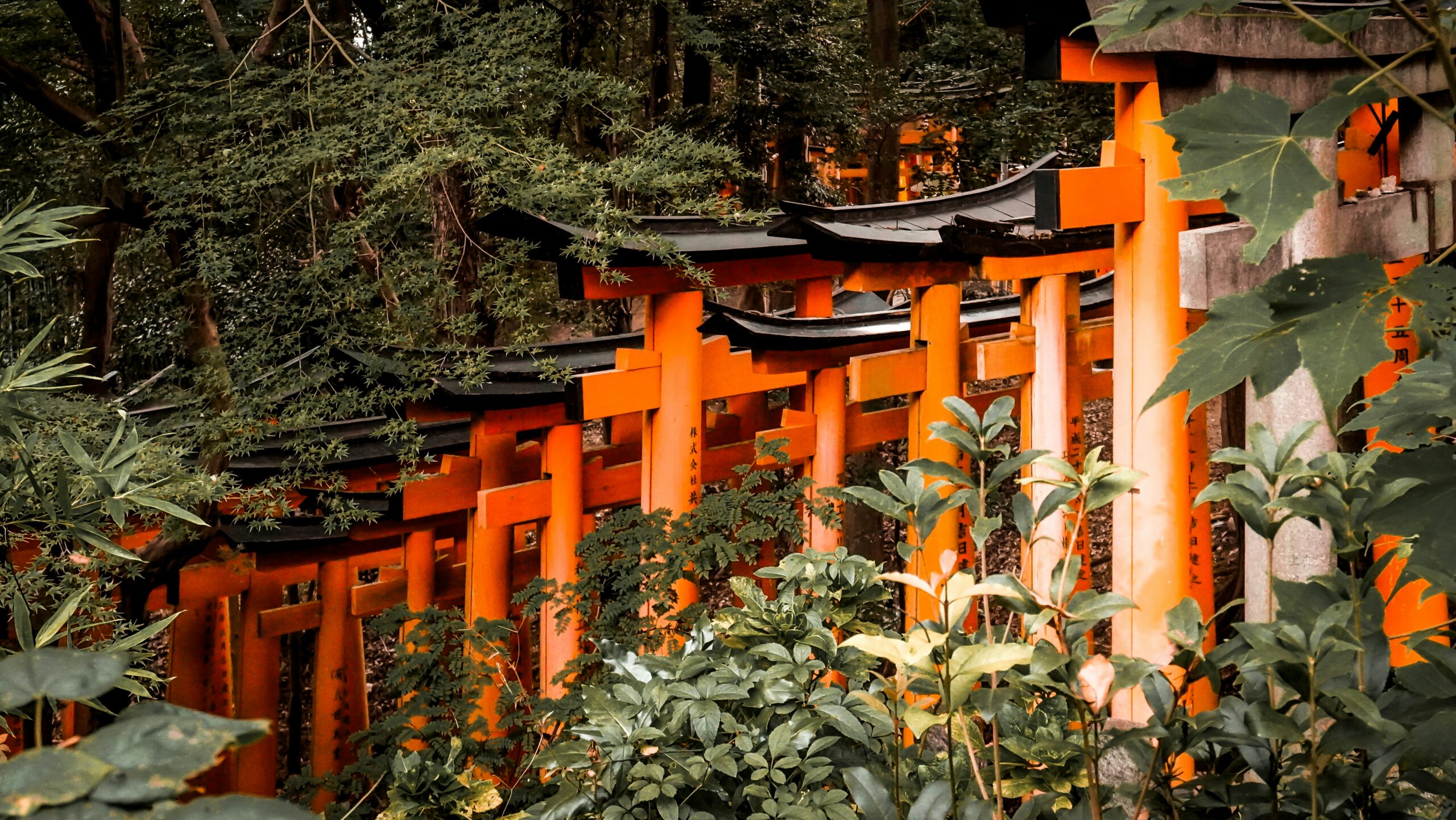 占い師が大事にしている神社